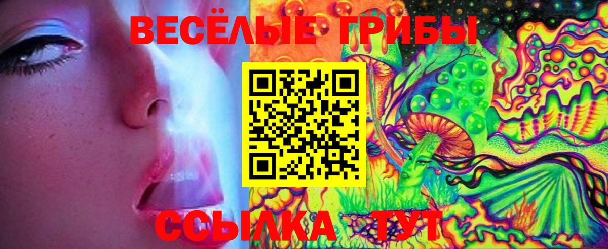 Саратов  Галлюциногенные грибы Cubensis  Вход с VPN  Галлюциногенные грибы Magic Shrooms 